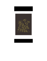 Tales of an Orobo Kibo Kibo by April Ifunaya Izundu.pdf